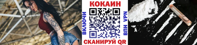 COCAIN FishScale  Западная Двина 