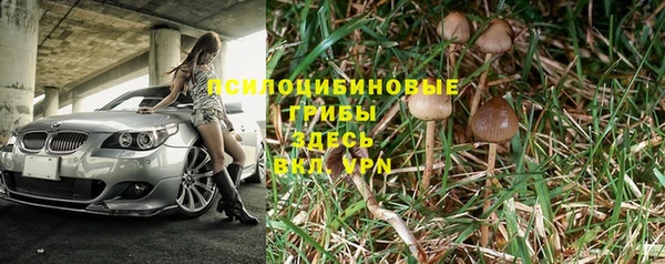 mdpv Белокуриха