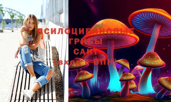 mdpv Белокуриха