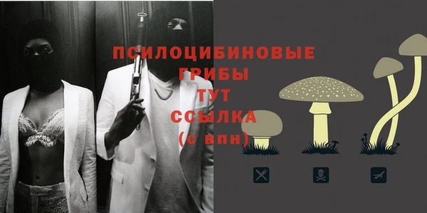 амф Беломорск