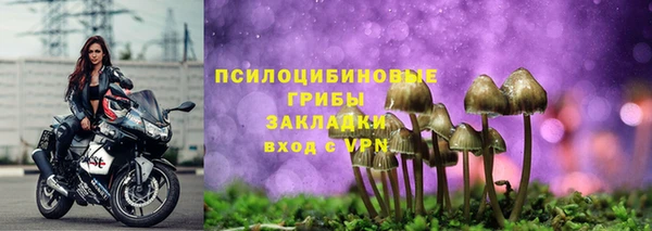 амф Беломорск
